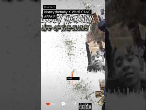 Looney The Bully x Watti “Gang Affair”