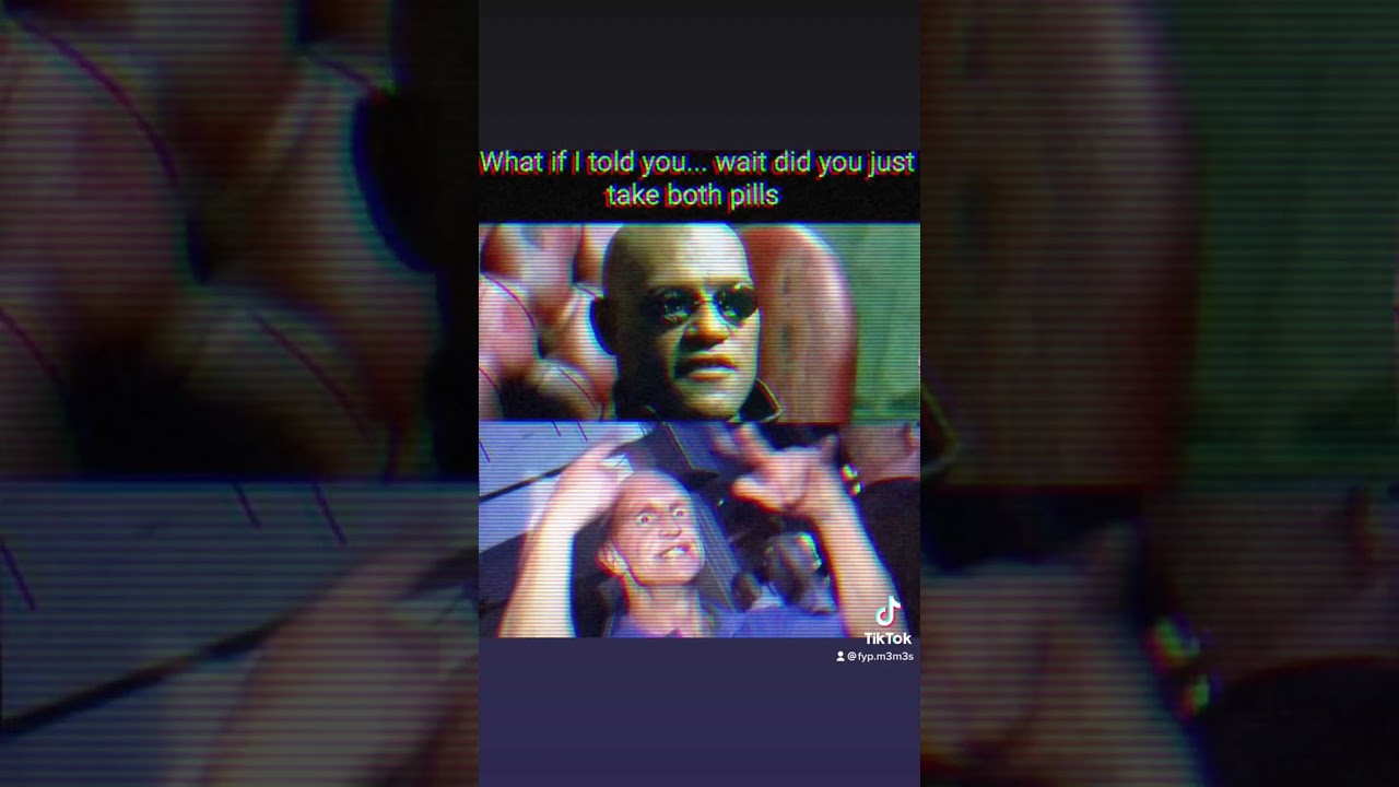 Down the rabbit hole #dailymemes #fyp #memes #Bothpills #therabbithole