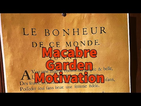 Macabre Garden Motivation Le Bonheur De Ce Monde Plantin With A History Of Ozzette Potatoes