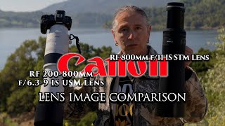 Canon 800mm entry level lens comparison.... and why I love the RF 800 F11. It is my favorite!