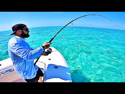 Lanseta Zenaq Sinpaa 83 Hiramasa 2.52m 65-130g Fast