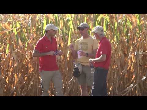 Jornada sobre variedades de cultivo de maíz en Porteña (Córdoba)