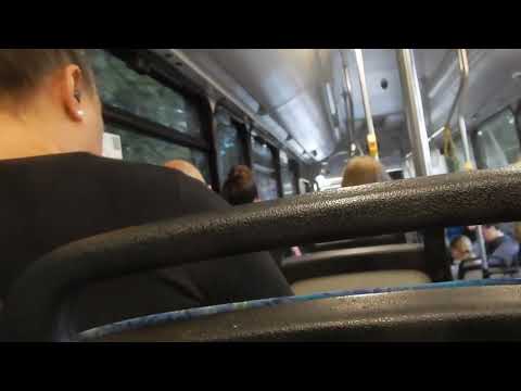 Bus Queensland Park Ridge Scania K230UB (#069, CB60 Evo II, ZF): P546 outbound