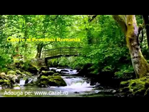 Cazare Balta Arsa, Botosani - Cazat.ro