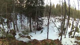 Wolfs kill two dogs. Zelengora hunting. Vukovi ubijaju 2 psa