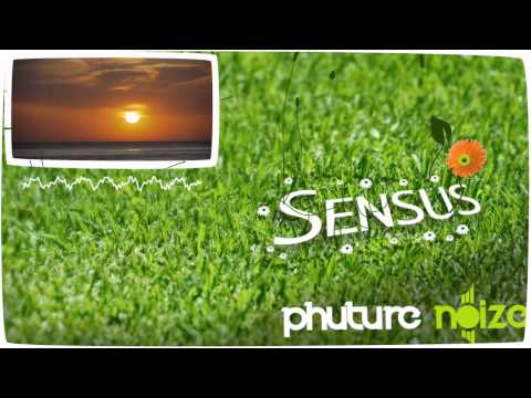 Video thumbnail for Sensus