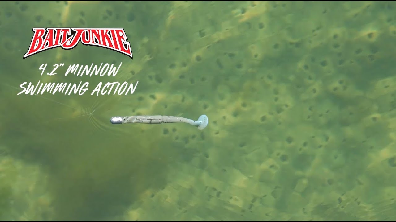 Daiwa Baitjunkie 4.2in Minnow Soft Plastics video thumbnail