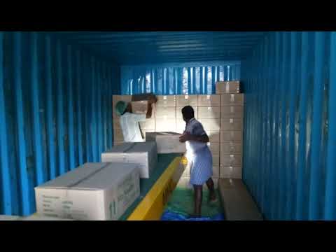Drag box stacker conveyor, capacity: 500 kg/feet