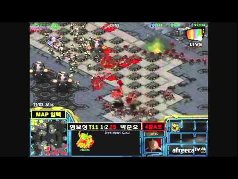 BCTV Semi Finals Killer vs Sea G4