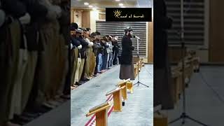 Download lagu 👑 Surah Al Imran V 33 - 37👑 Sheikh Raad Mohammed Al Kurdi ⭐⭐⭐⭐⭐ mp3