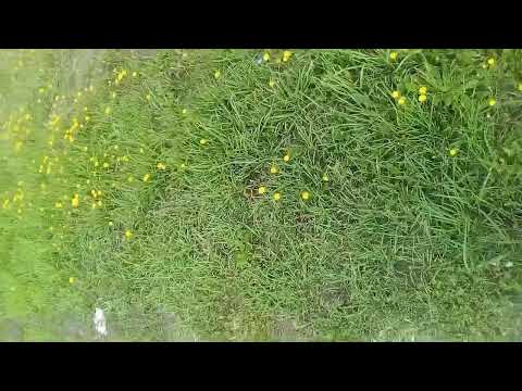 Gubaev Evgeniy Maratovich Piano Composer Virtuoso Player Live