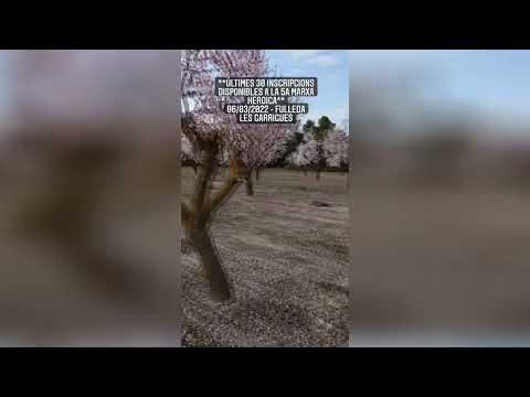 MARXA HEROICA - MEMÒRIA HISTÒRICA