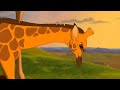 Sing Along Safari Part 3 It S Fun To Be A Giraffe