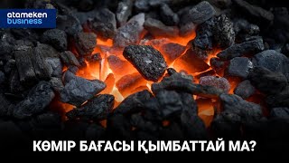 Көмір бағасы қымбаттай ма?