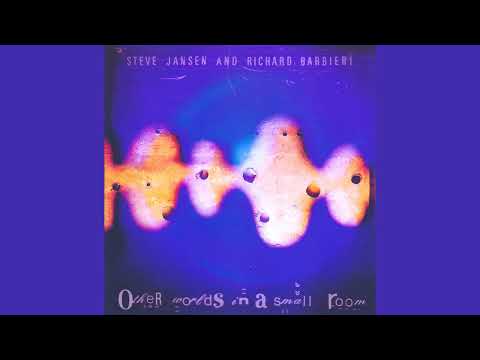 Steve Jansen and Richard Barbieri - Distant Fire