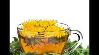 DANDELION FLOWER TEA BENEFITS: Health Benefits | Side Effects