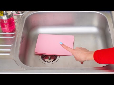 出門旅遊多日怕家裡長蟲嗎？教你用「一張紙」解決你的問題！ (Put a Piece of Paper in Your Sink Before Vacation. You'll Thank Yourself When You Get Back)