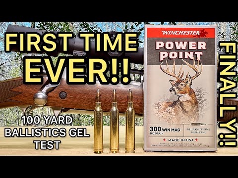 300 Winchester Magnum Winchester Power Point Ballistics Gel Ammo Test