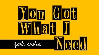 You Got What I Need-Josh Radin