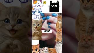 Download lagu Very big OMG? 🤢 mp3