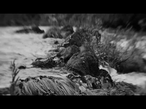 Pillorian - Dark is River of Man ( Fan unofficial videoclip )