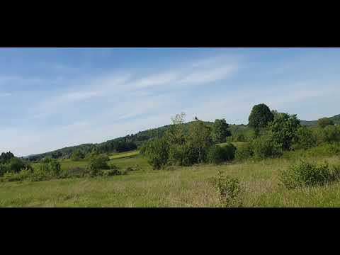 Građevinsko/poljoprivredno zemljište, Josipdol, Carevo polje, 5940 m2 PRODAJA