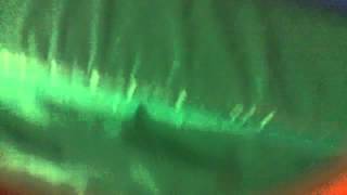 Wacky blue slide bing chloe peter puppy