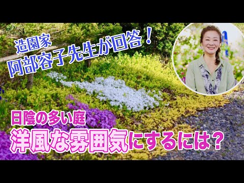 隣人からの好奇の目から守るために、どのバルコニーのプライバシースクリーンを植えるべきですか?メンテナンスなしで 7 種…またはほぼメンテナンスなし  庭園