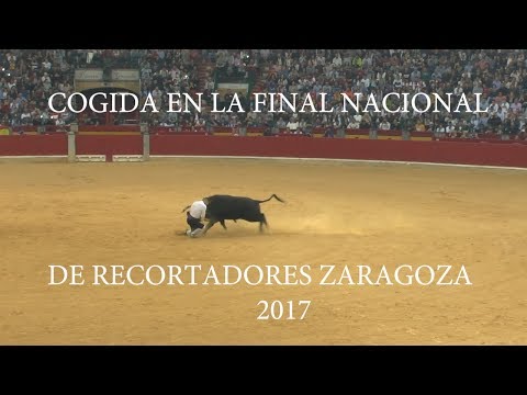 FINAL DEL CAMPEONATO DE ESPAÑA DE RECORTADORES  ZARAGOZA 2017