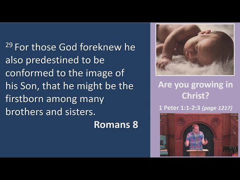 18th August (pm) | 1 Peter 1 v.1- 2 v.3 | Simon Dowland