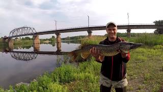 Рыбалка в новомосковске на реке самара