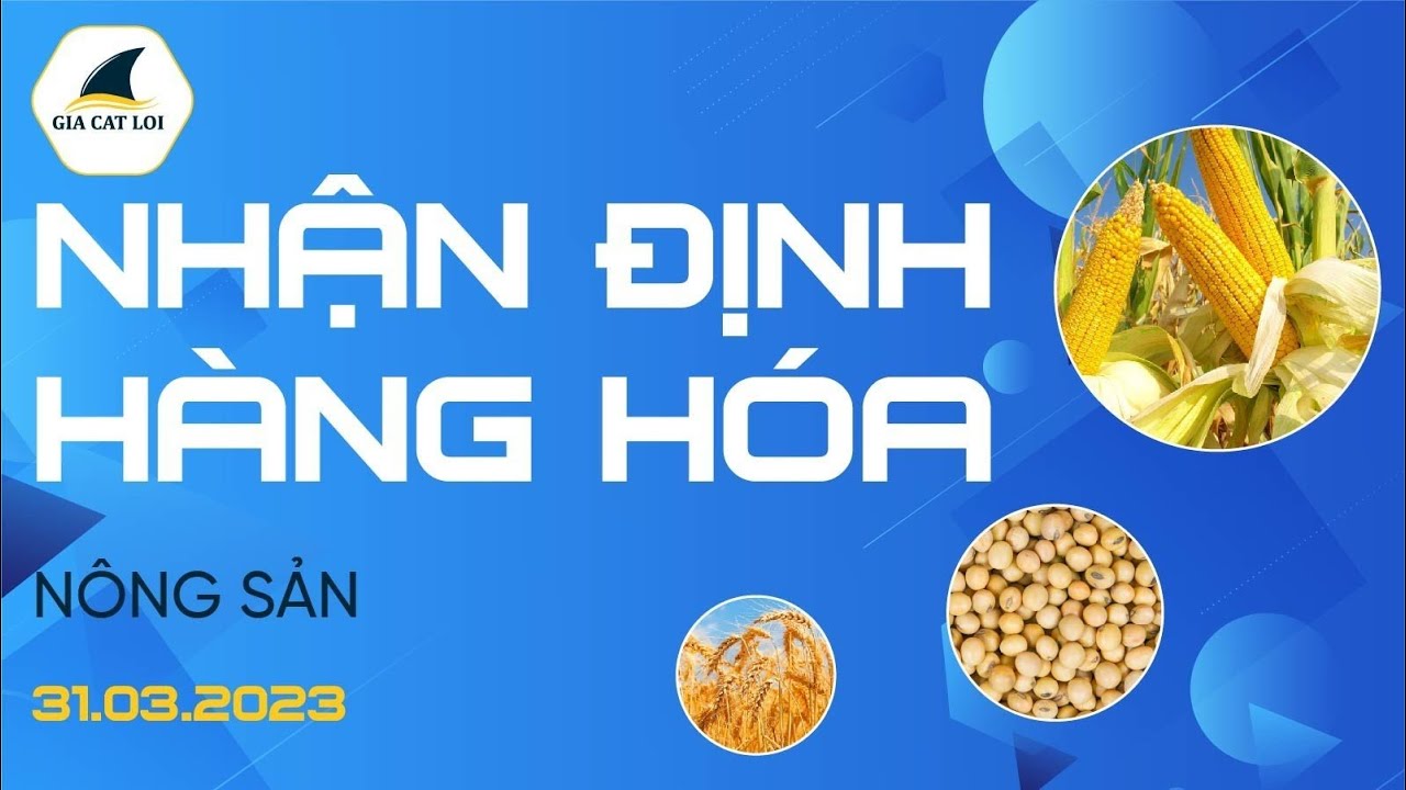 Nhận Định Hàng Hoá Nông Sản Ngày 31/03/2023