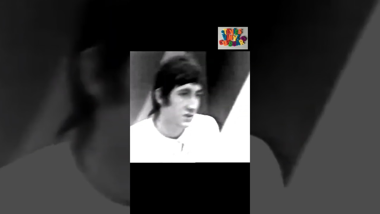 The Who - Pete Townshend, on The Beatles (on A Whole Scene Going, 1966) - YouTube