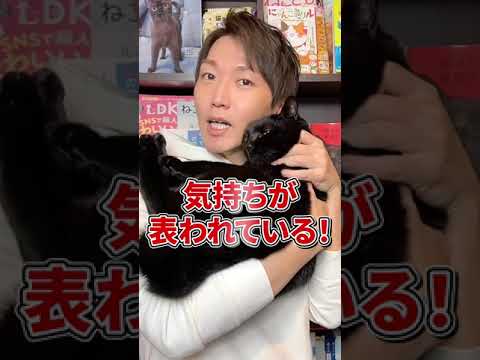 うちの猫がお尻を床にこするのはなぜですか?