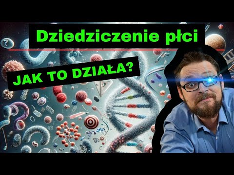 Dziedziczenie płci⚡ Dziedziczenie Daltonizmu i Hemofilii🤓 Dziedziczenie grup krwi🔥 genetyka klasa 8