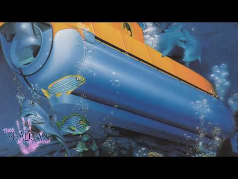 Peter Zimmermann & The Rainbow Orchestra - Mr. Robot (Feat. Lady Diamond)