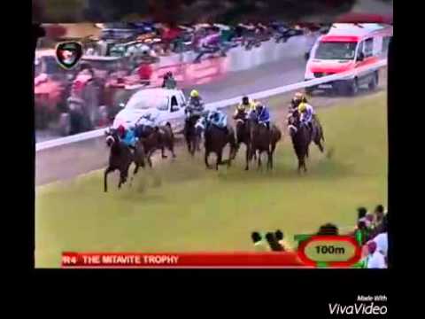 Kremlin Captain (8eme victoire d'affilée)