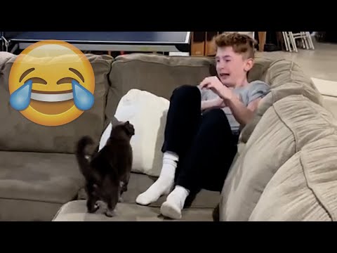 , title : 'Cats Being JERKS! Savage Cats Attacking People Compilation || PETASTIC 🐾'