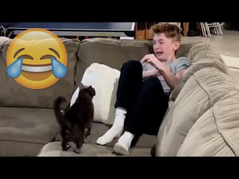 Cats Being JERKS! Savage Cats Attacking People Compilation || PETASTIC 🐾