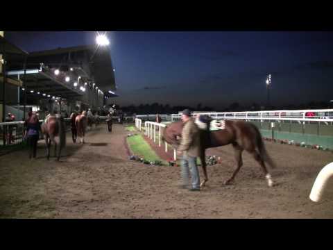 Jägersro Galopp 090925