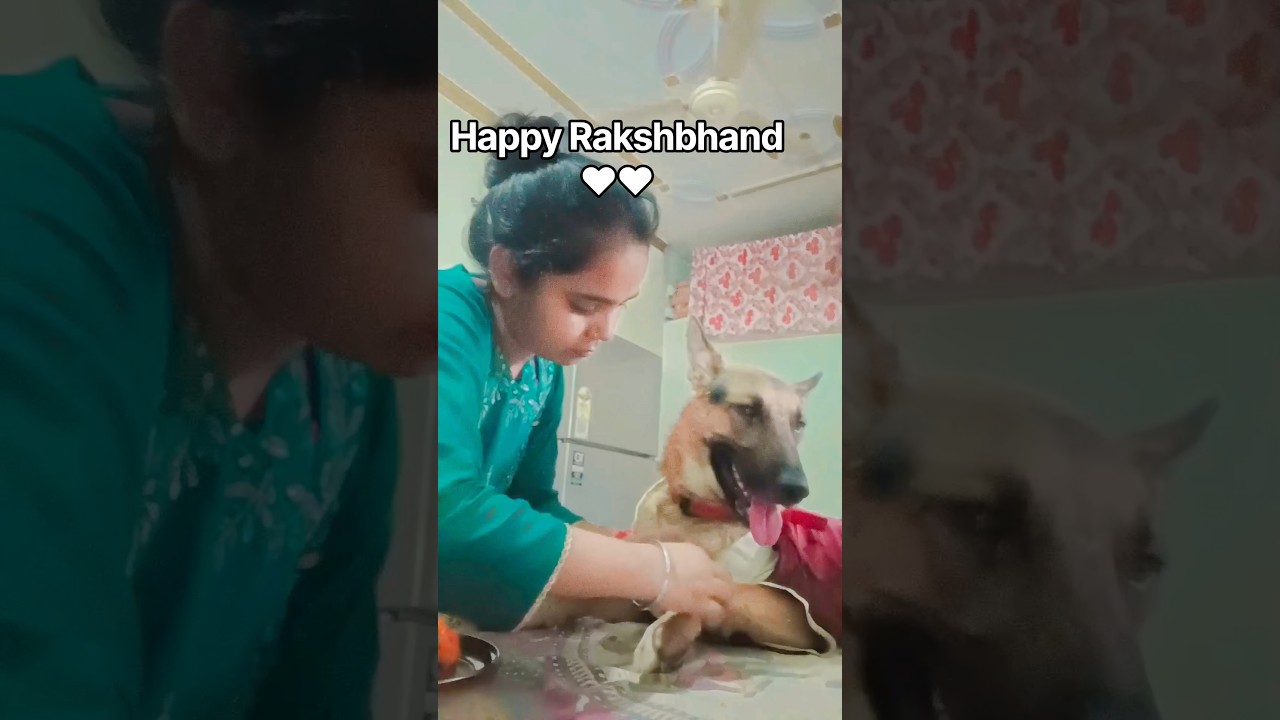 इस रक्षाबंधन मेरा प्यारा Sheru भी मेरे साथ है 🥹❤️🐶 #RakshaBandhan2026 #Sheru