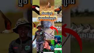 Download lagu Best trip Birdphotography Part9 #birds  #wildlife mp3