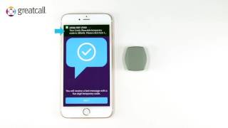 Get Started With Your Lively Wearable & iPhone