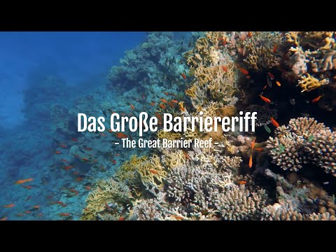 Das Große Barriereriff - Doku - Marine Lebensräume