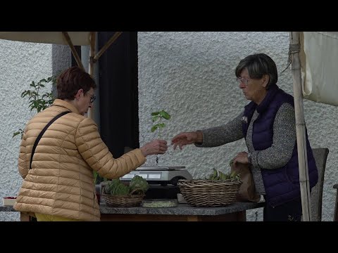 Le jardin urbain des Fioretti à Pau