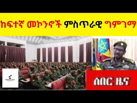 ከፍተኛ መኮንኖች ምስጥራዊ ግምገማ   II  ስለ TDF ፣ ፋኖ ፣ ኤርትራ፣ OLA