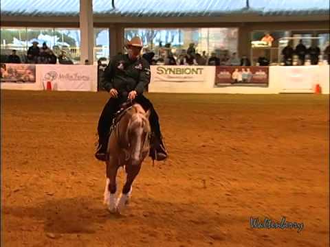 WIMPYS LITTLECOLONEL