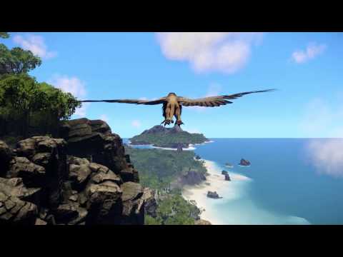 Wander — Griffin Flight School, Wander Twitch Live Stream