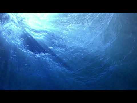 Conjure One - Manic Star (Traduzida/Legendada)