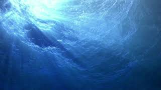 Conjure One - Manic Star (Traduzida/Legendada)